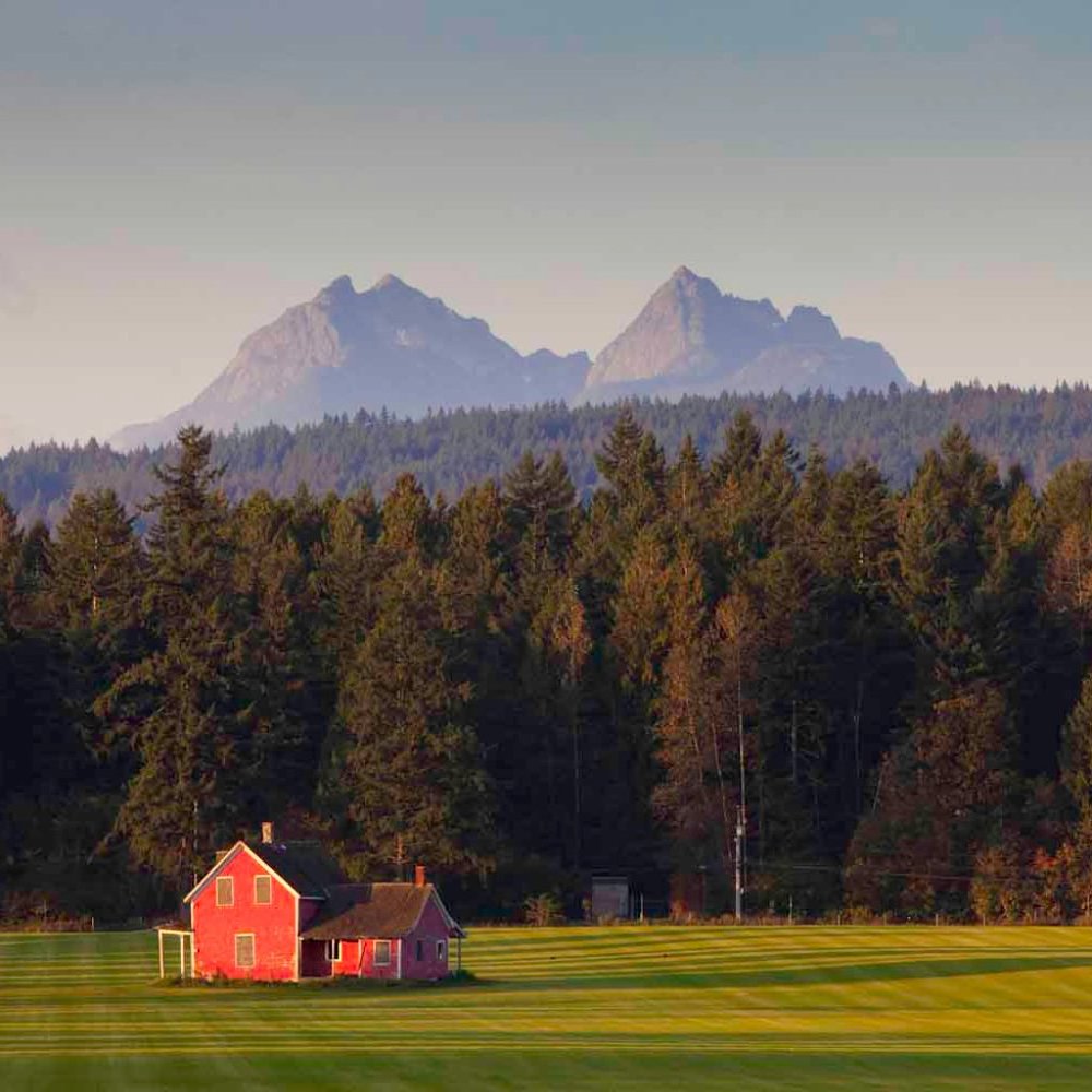 Meet your Posher, Hayley